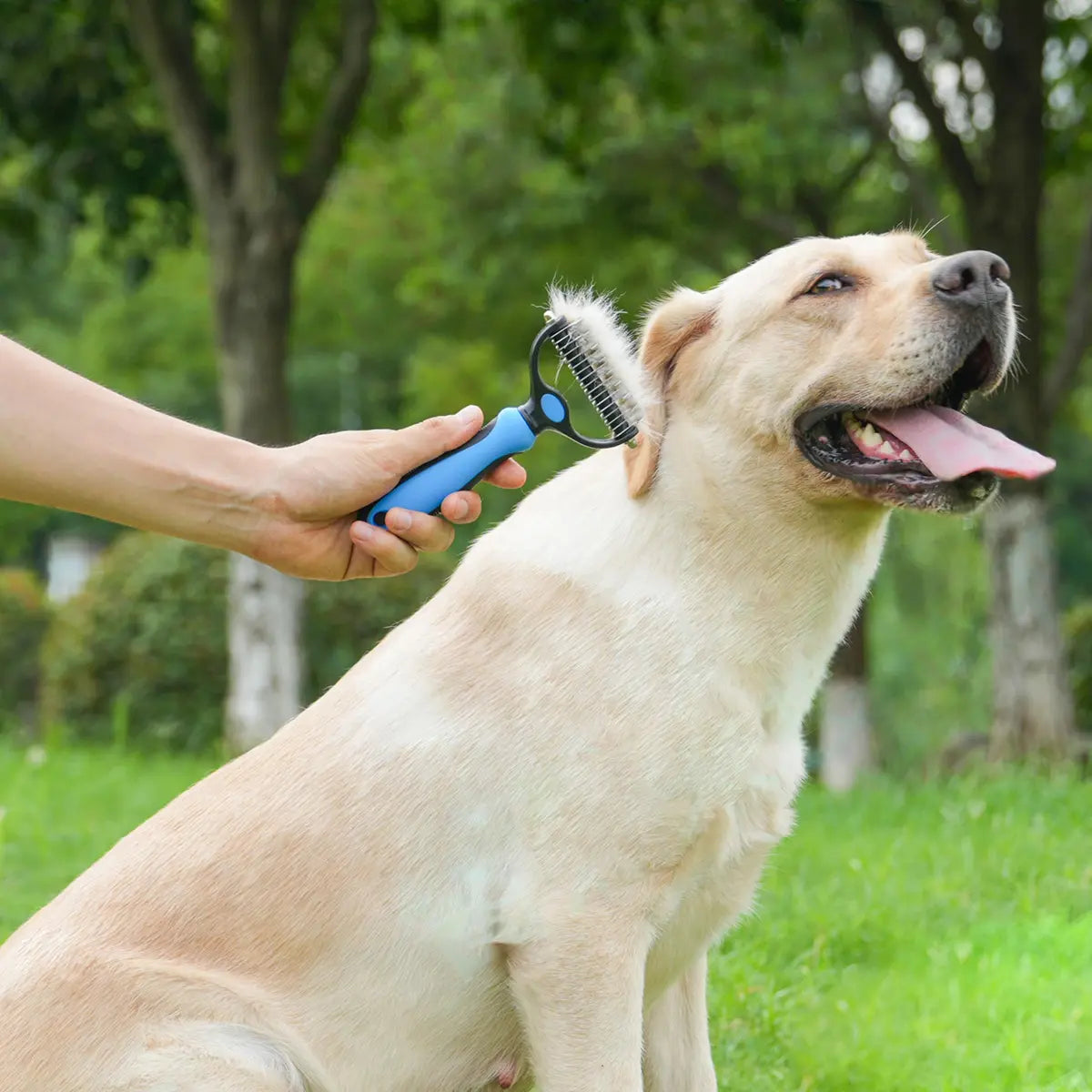 Extra Wide Double-Sided Pet Grooming Rake - Ideal Shedding Brush for Long-Coated Dogs