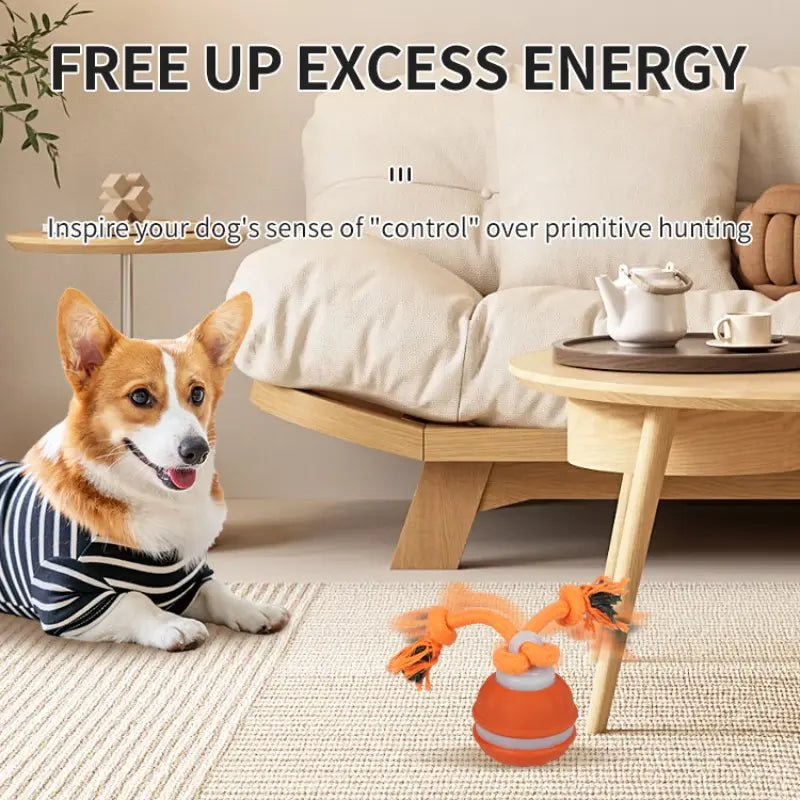 Elevate Your Dog's Playtime with the Smart Rolling Ball Toy - Fun, Stimulation & Boredom Relief!