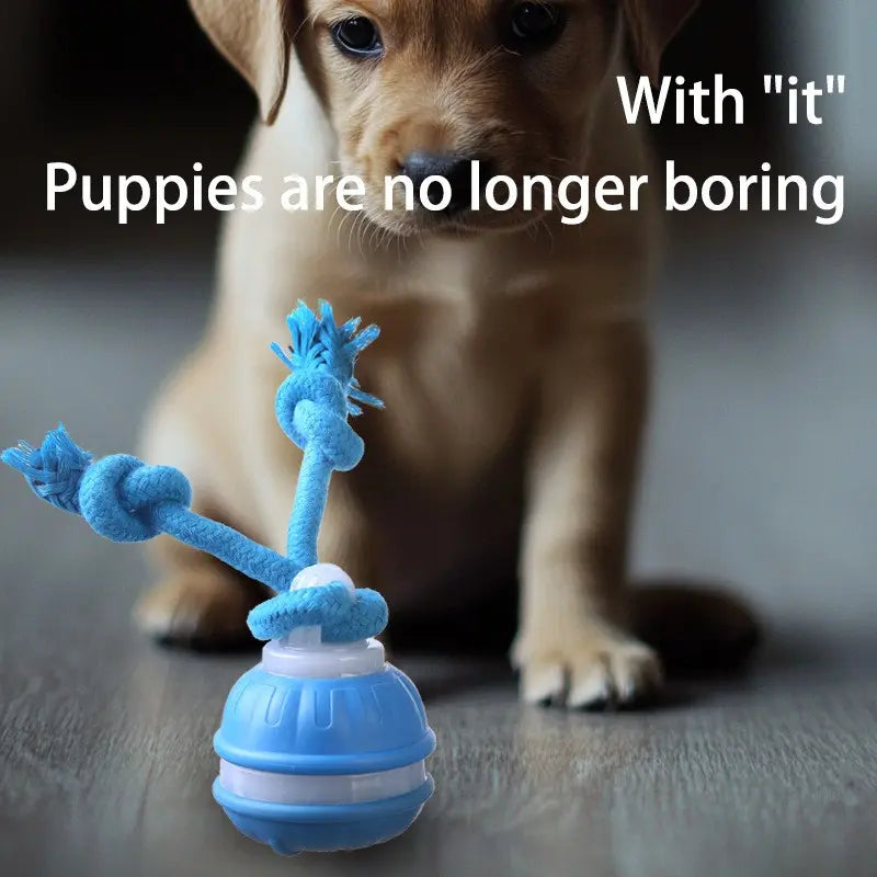 Elevate Your Dog's Playtime with the Smart Rolling Ball Toy - Fun, Stimulation & Boredom Relief!