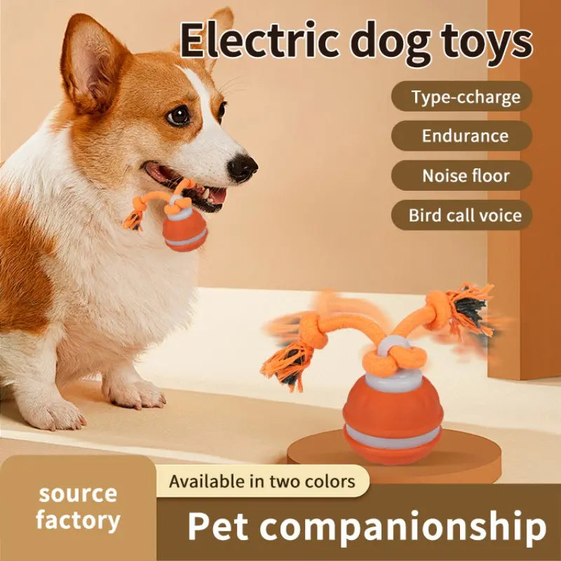 Elevate Your Dog's Playtime with the Smart Rolling Ball Toy - Fun, Stimulation & Boredom Relief!