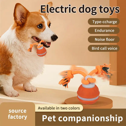 Elevate Your Dog's Playtime with the Smart Rolling Ball Toy - Fun, Stimulation & Boredom Relief!