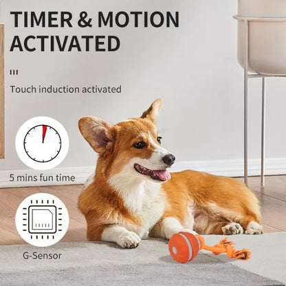 Elevate Your Dog's Playtime with the Smart Rolling Ball Toy - Fun, Stimulation & Boredom Relief!