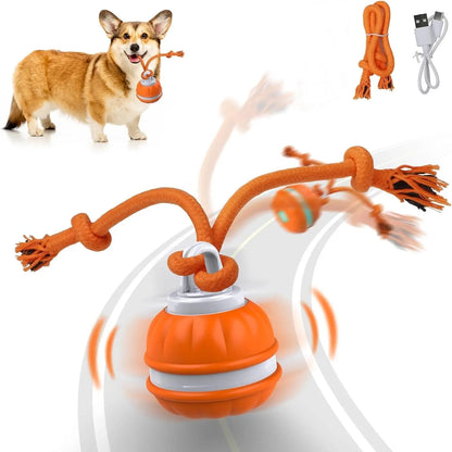 Elevate Your Dog's Playtime with the Smart Rolling Ball Toy - Fun, Stimulation & Boredom Relief!