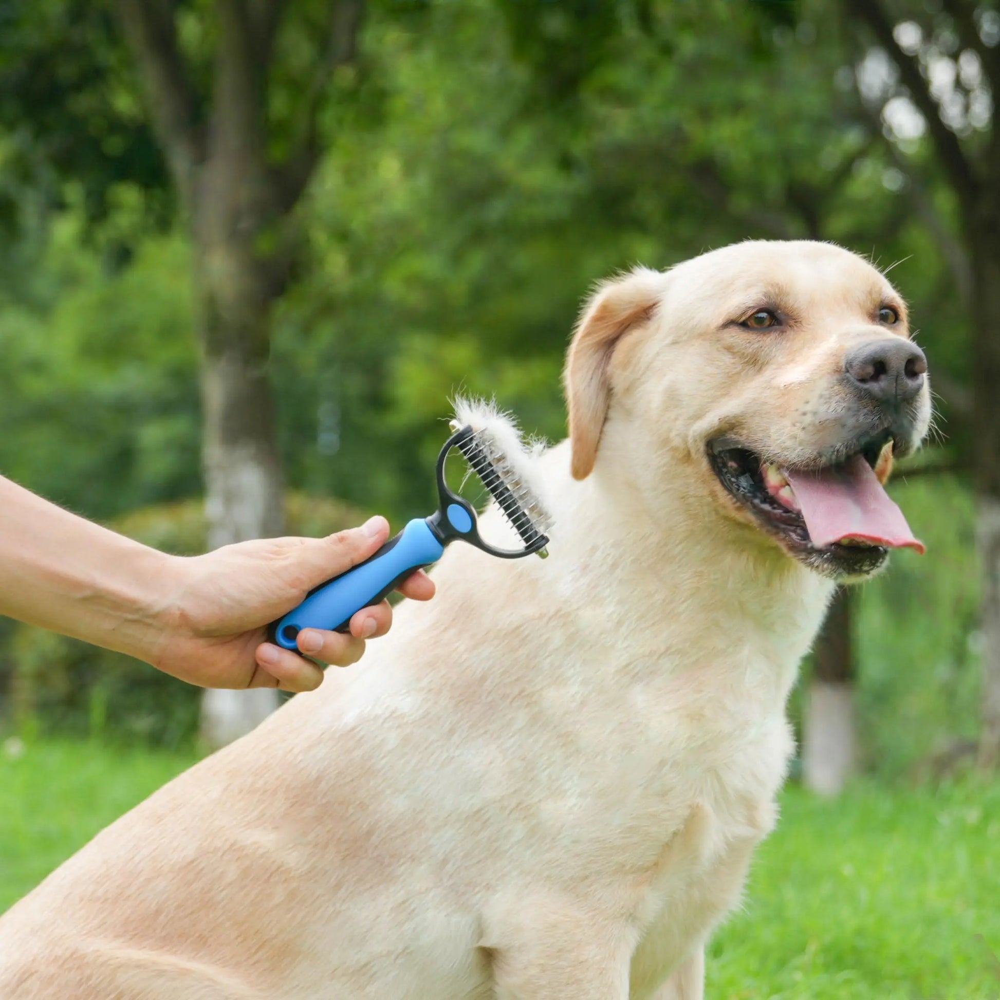 Extra Wide Double-Sided Pet Grooming Rake - Ideal Shedding Brush for Long-Coated Dogs